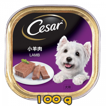 [Cesar西莎] 犬用 Lamb 羊肉狗罐頭 100G