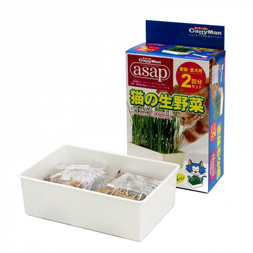 キャディーマンasap 猫の生野菜 補充用3回分セット 3箱