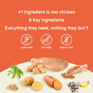 [CANIDAE] 犬用 無穀物體重控制配方 全犬乾糧 HEALTHY WEIGHT Real Chicken & Pea Recipe 12lb