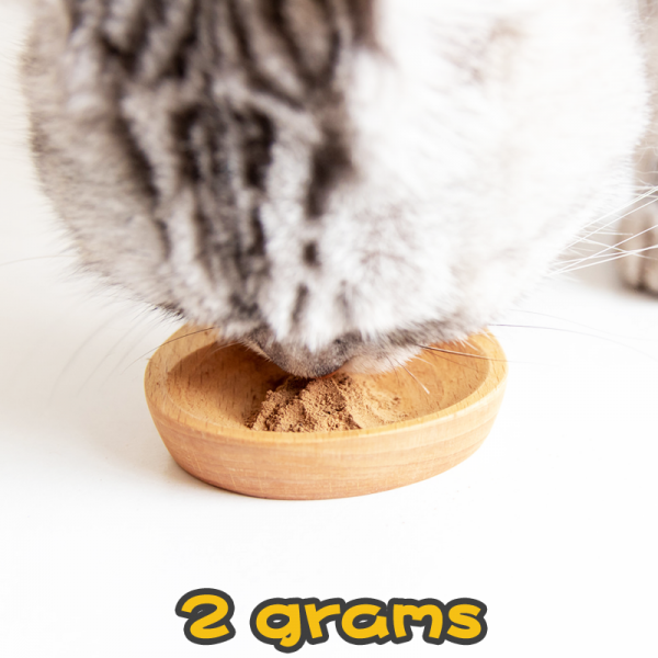 貓用 木天蓼粉 Matatabi powder-2g