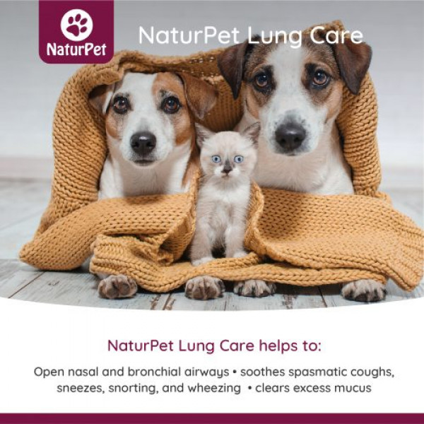 [Naturpet] 犬貓用 肺部護理 Lung Care-100ml