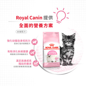 [ROYAL CANIN 法國皇家] 貓用 Second Age Kitten 幼貓營養配方貓乾糧  4kg