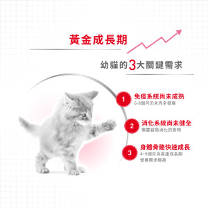 [ROYAL CANIN 法國皇家] 貓用 Second Age Kitten 幼貓營養配方貓乾糧  4kg