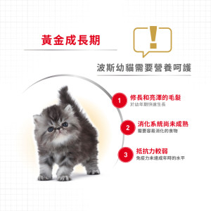 [ROYAL CANIN 法國皇家] 貓用 Persian Kitten 波斯幼貓專屬配方乾糧 10kg