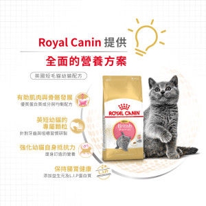[ROYAL CANIN 法國皇家] 貓用 British Shorthair Kitten 英國短毛幼貓專屬配方乾糧 2kg