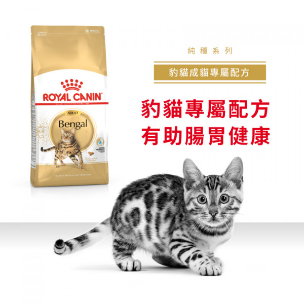 [ROYAL CANIN 法國皇家] 貓用 Bengal Adult 豹貓成貓專屬配方乾糧 10kg