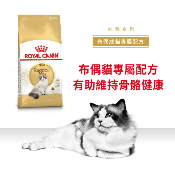 [ROYAL CANIN 法國皇家] 貓用 Ragdoll Adult 布偶成貓專屬配方乾糧 2kg