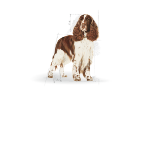 [ROYAL CANIN 法國皇家] 犬用 Medium Light Weight Care Adult 中型犬體重控制加護配方成犬乾糧 3kg
