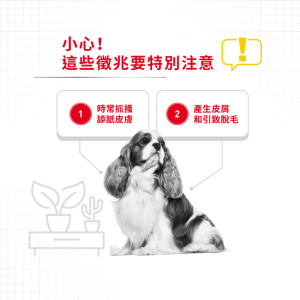 [ROYAL CANIN 法國皇家] 犬用 Mini Dermacomfort Adult 小型犬皮膚舒緩加護配方成犬乾糧 8kg