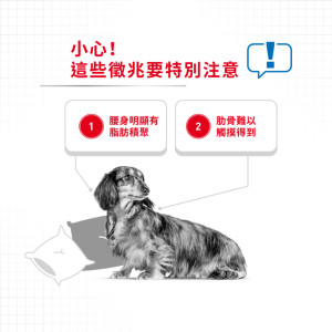[ROYAL CANIN 法國皇家] 犬用 Mini Light Weight Care Adult 小型犬體重控制加護配方乾糧 3kg