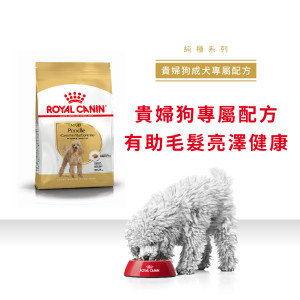 [ROYAL CANIN 法國皇家] 犬用 Poodle Adult 貴婦狗成犬專屬配方乾糧 3kg