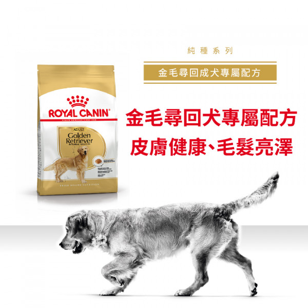 [ROYAL CANIN 法國皇家] 犬用 Golden Retriever Adult 金毛尋回成犬專屬配方乾糧 12kg