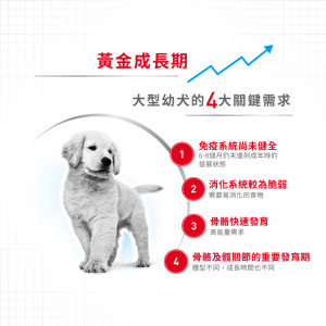 [ROYAL CANIN 法國皇家] 犬用 Maxi Puppy 大型幼犬營養配方乾糧 4kg