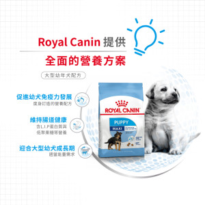 [ROYAL CANIN 法國皇家] 犬用 Maxi Puppy 大型幼犬營養配方乾糧 15kg