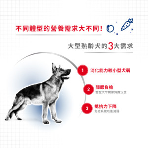 [ROYAL CANIN 法國皇家] 犬用MAXI ADULT 5+ 大型成犬5+營養配方乾糧 15kg