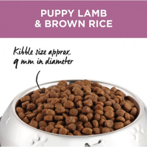 [IVORY COAT] 犬用 羊肉糙米幼犬乾糧 NATURAL HEALTH PUPPY LAMB & BROWN RICE 2.5kg