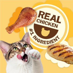[清貨] [PartyMix] 雞肉味鬆脆粒貓小食 Natural Yums Real Chicken Cat Treats -2.1oz