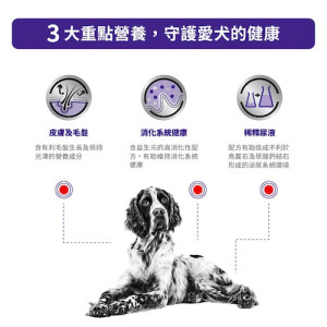 [ROYAL CANIN 法國皇家] 犬用 ADULT DOG 成犬健康獸醫保健鋁袋濕糧 100g x12包 (肉汁)