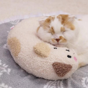 [CattyMan] (87846) 貓貓枕頭-牛奶喵 1隻