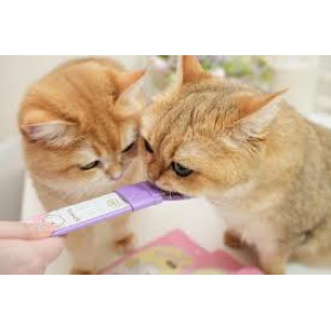 [韓國貓貓萬歲] 貓狗用 肉泥湯匙