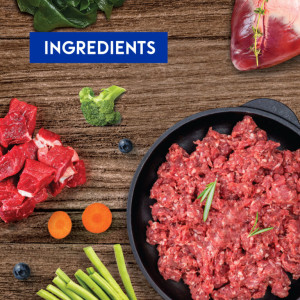 [Animalkind] 狗用 凍乾生肉牛肉和羊肉狗糧 Wellness+ Beef & Lamb Recipe -100g